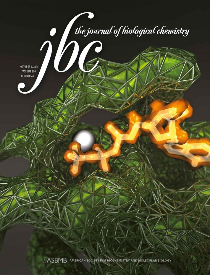 (öffnet Vergrößerung des Bildes)