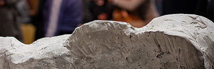 (öffnet Vergrößerung des Bildes)