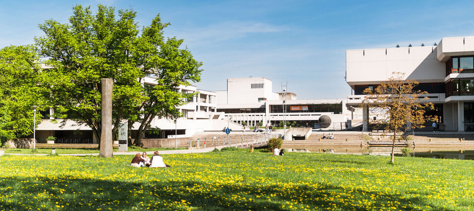 Campuswiese der Uni Regensburg mit Löwenzahn. Auf der Wiese sitzen Studierende. Im Hintergrund sieht man die Zentralbibliothek.