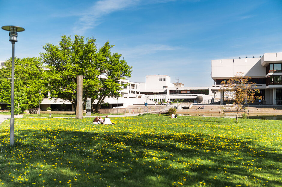 Campuswiese der Uni Regensburg mit Löwenzahn. Auf der Wiese sitzen Studierende. Im Hintergrund sieht man die Zentralbibliothek.