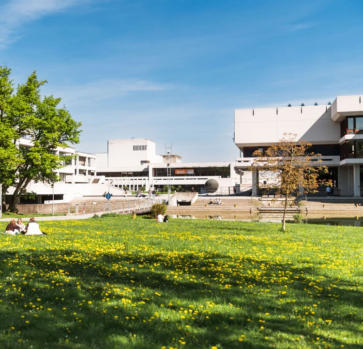 Campuswiese der Uni Regensburg mit Löwenzahn. Auf der Wiese sitzen Studierende. Im Hintergrund sieht man die Zentralbibliothek.