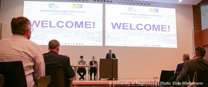 (öffnet Vergrößerung des Bildes)