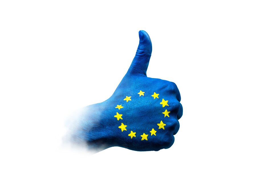 Eine Hand ist blau angemalt mit gelben, im Kreis angeordneten Sternen, wie die EU-Flagge. Der Daumen zeigt nach oben.