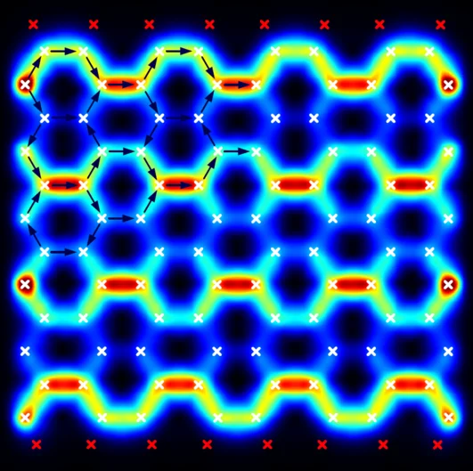 (opens enlarged image)