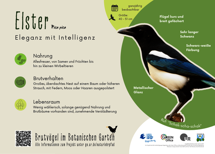 (öffnet Vergrößerung des Bildes)