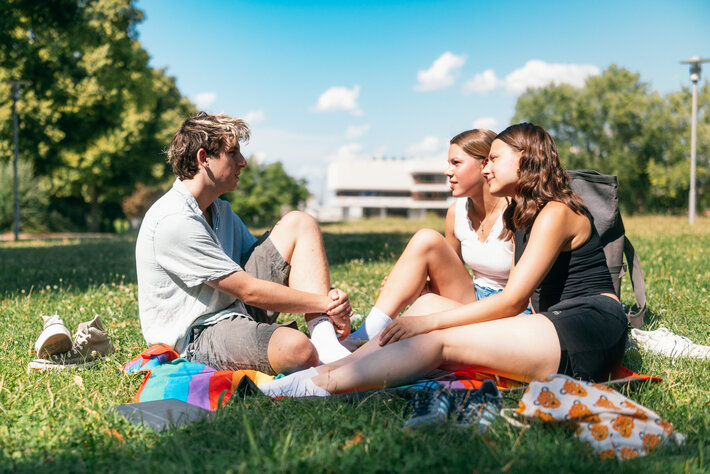 Studierende sitzen zusammen auf einer Picknickdecke auf einer Wiese am Campus der Universität Regensburg. (öffnet Vergrößerung des Bildes)