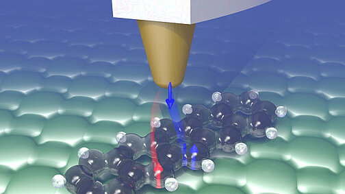 (external link, opens in a new window)