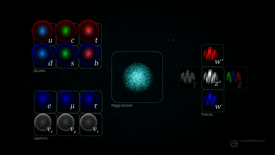 Representation of the Standard Model of fundamental interactions