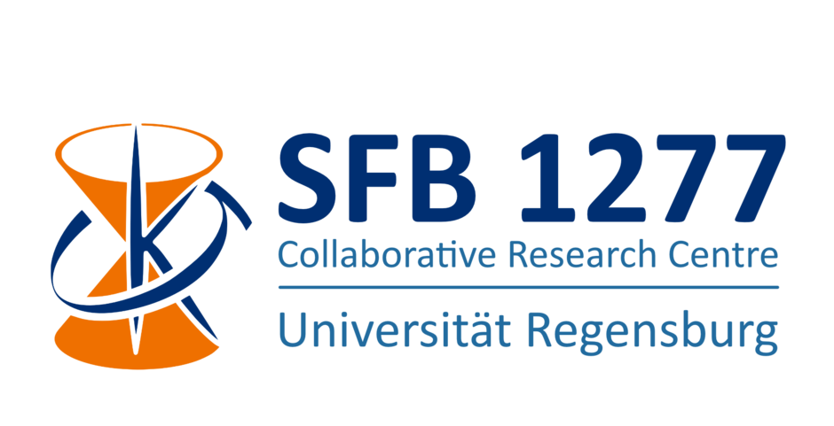 (external link, opens in a new window)