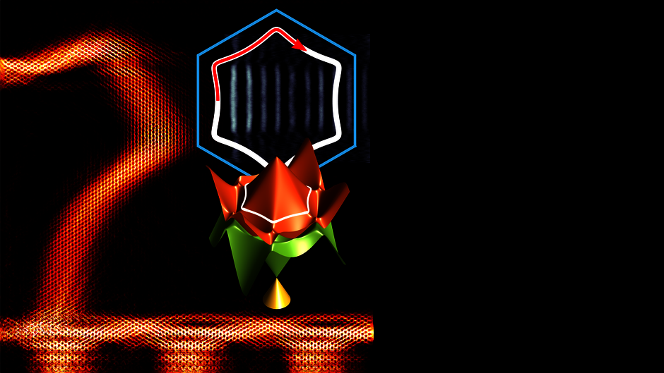 (opens enlarged image)