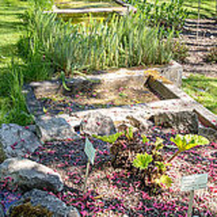 (öffnet Vergrößerung des Bildes)