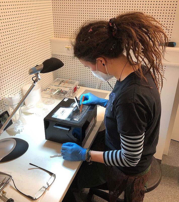 (öffnet Vergrößerung des Bildes)