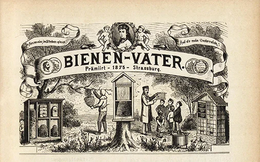 Bienenvater 1880 (öffnet Vergrößerung des Bildes)