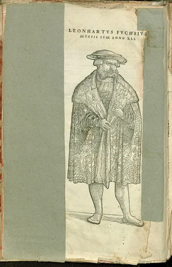 Leonhart Fuchs (öffnet Vergrößerung des Bildes)