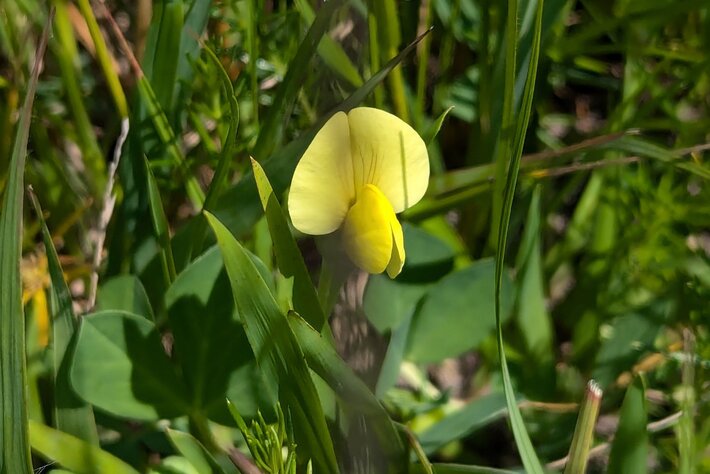 (opens enlarged image)