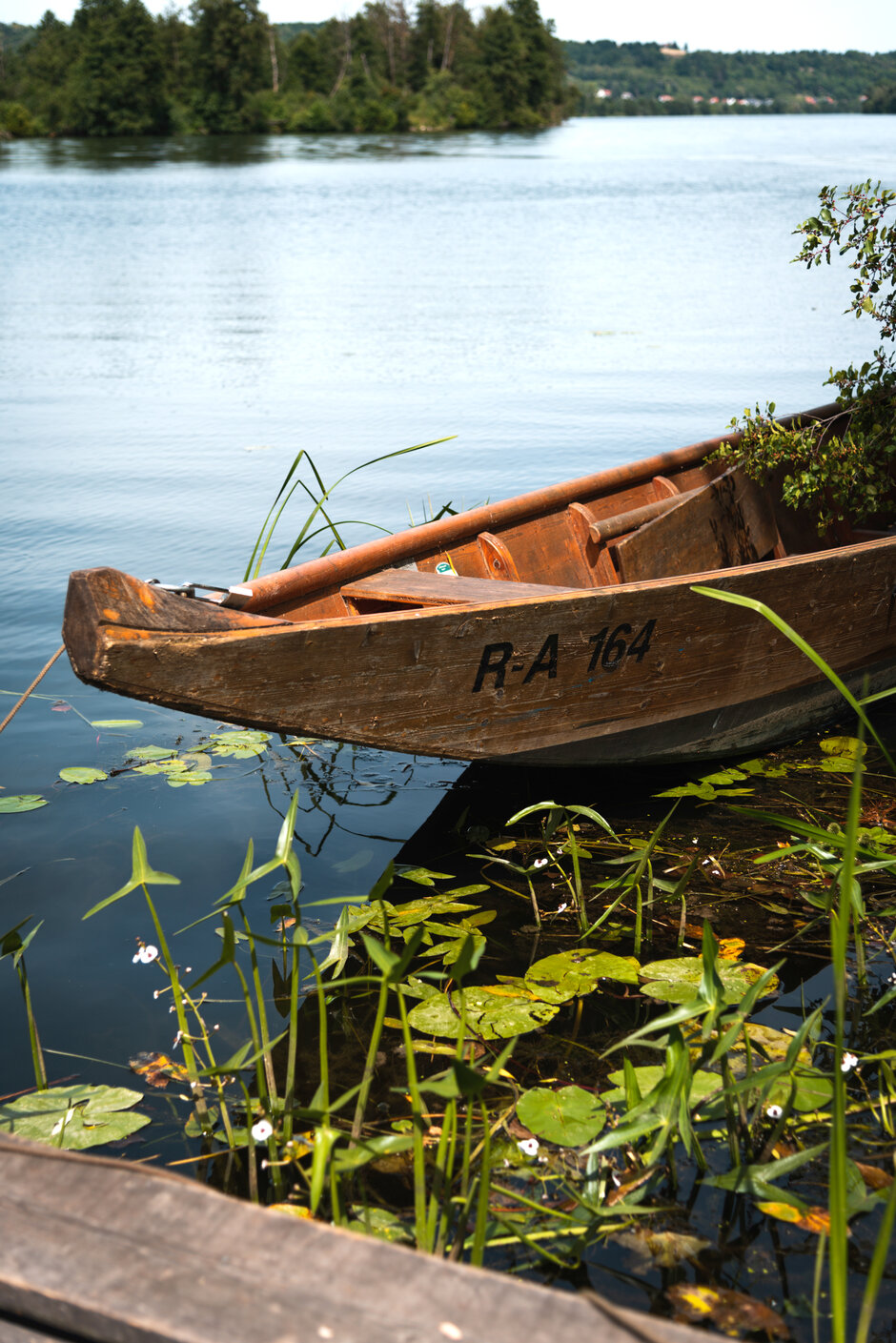 Ein Holzboot in einer dunklen, ruhigen Wasserfläche, auf der Seerosen treiben.