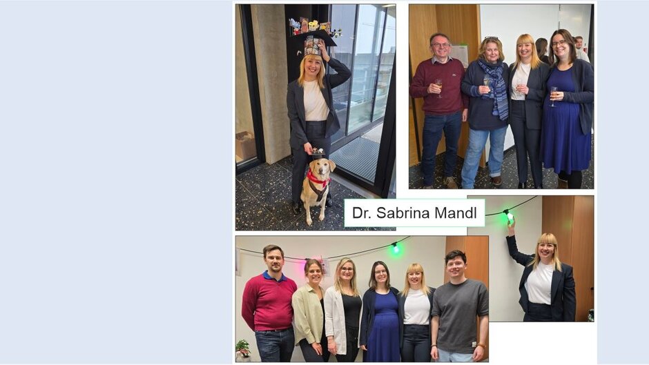 (opens enlarged image)