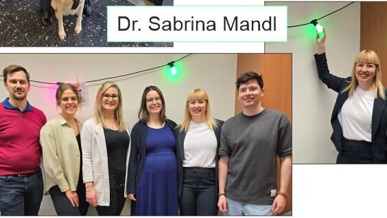 (öffnet Vergrößerung des Bildes)