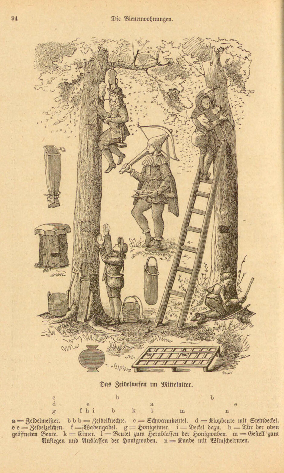 Auszug aus dem Lehrbuch der Bienenkunde, in dem ein Arbeiter zu sehen ist, der Bienenwaben an Bäumen erreichen möchte. Dazu werden verschiedene Techniken illustriert. (öffnet Vergrößerung des Bildes)