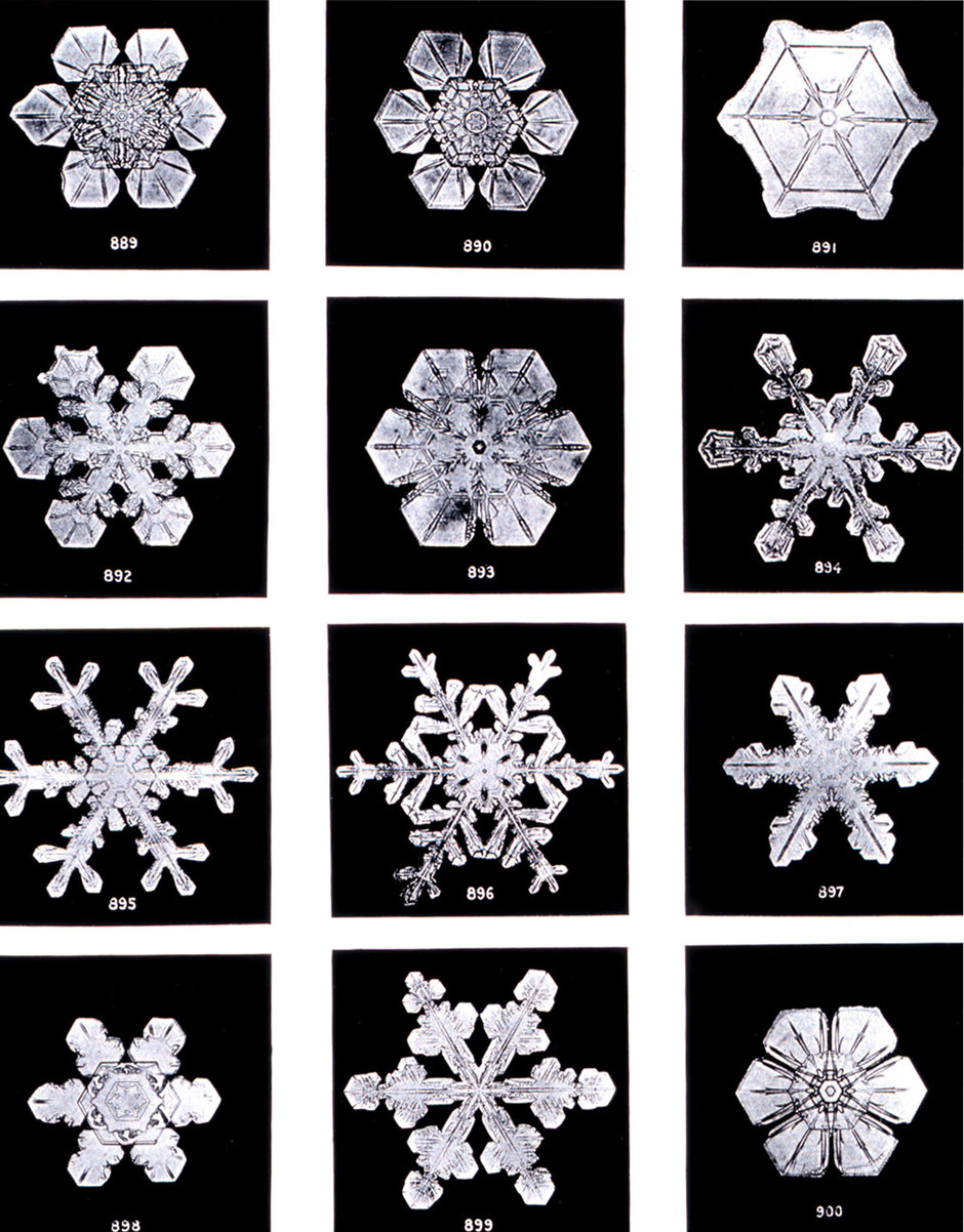 Versuch einer Systematik von Schneeflockenaufnahmen (externer Link, öffnet neues Fenster)