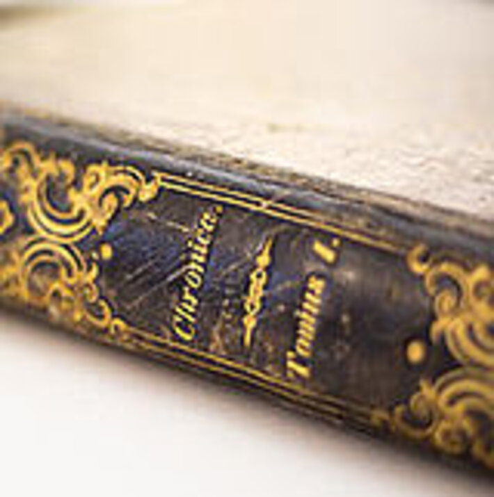 (öffnet Vergrößerung des Bildes)