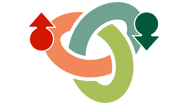 Logo des Center for Chiral Electronics (EXC 3112)