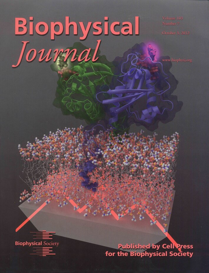 (öffnet Vergrößerung des Bildes)