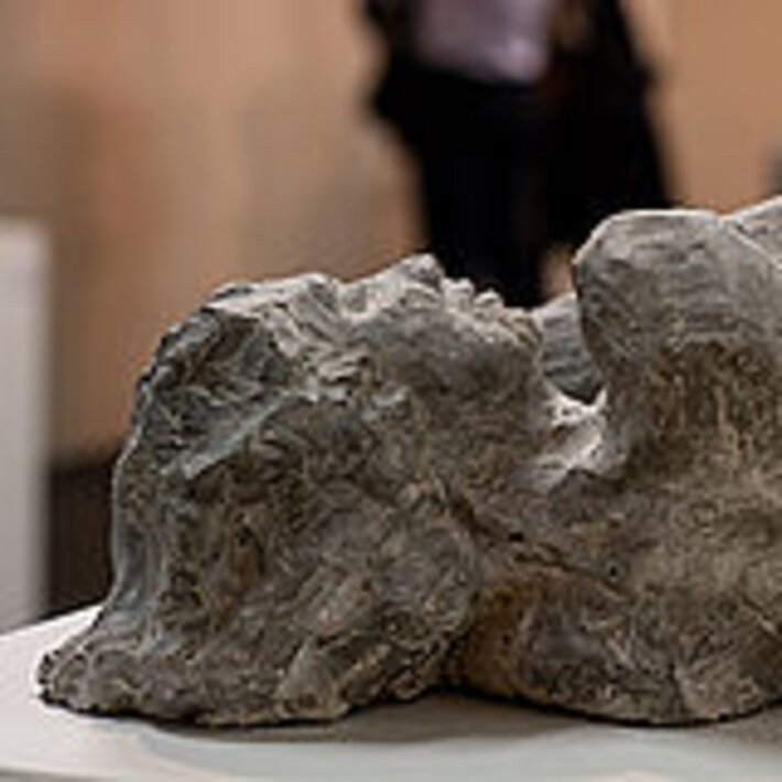 (öffnet Vergrößerung des Bildes)