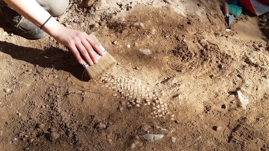 Eine Person legt bei einer archäologischen Ausgrabung mit einem Pinsel einen Fund im sandigen Boden frei. Daneben sind weitere Grabungswerkzeuge sichtbar. (öffnet Vergrößerung des Bildes)