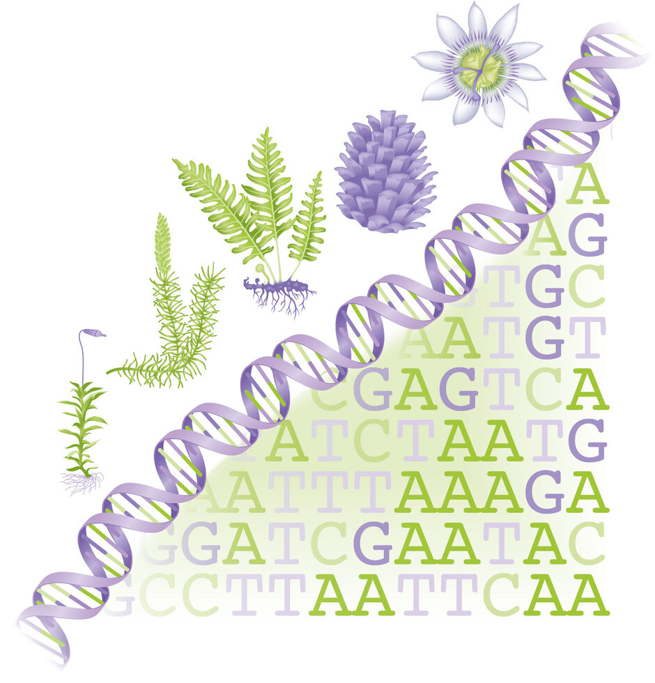 (externer Link, öffnet neues Fenster)