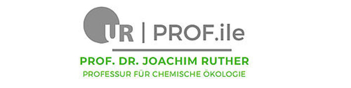 (öffnet Vergrößerung des Bildes)