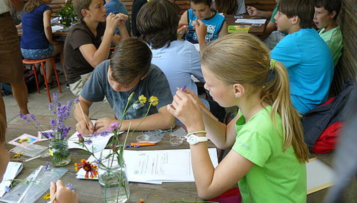 (öffnet Vergrößerung des Bildes)