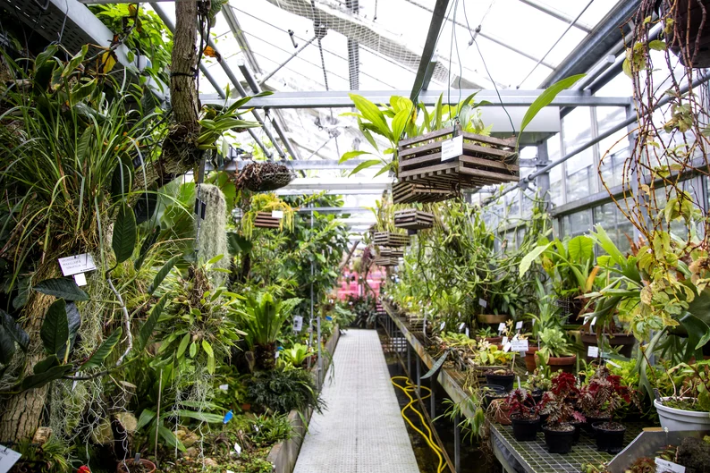Blick in eines der Gewächshäuser des Botanischen Gartens der Universität Regensburg.