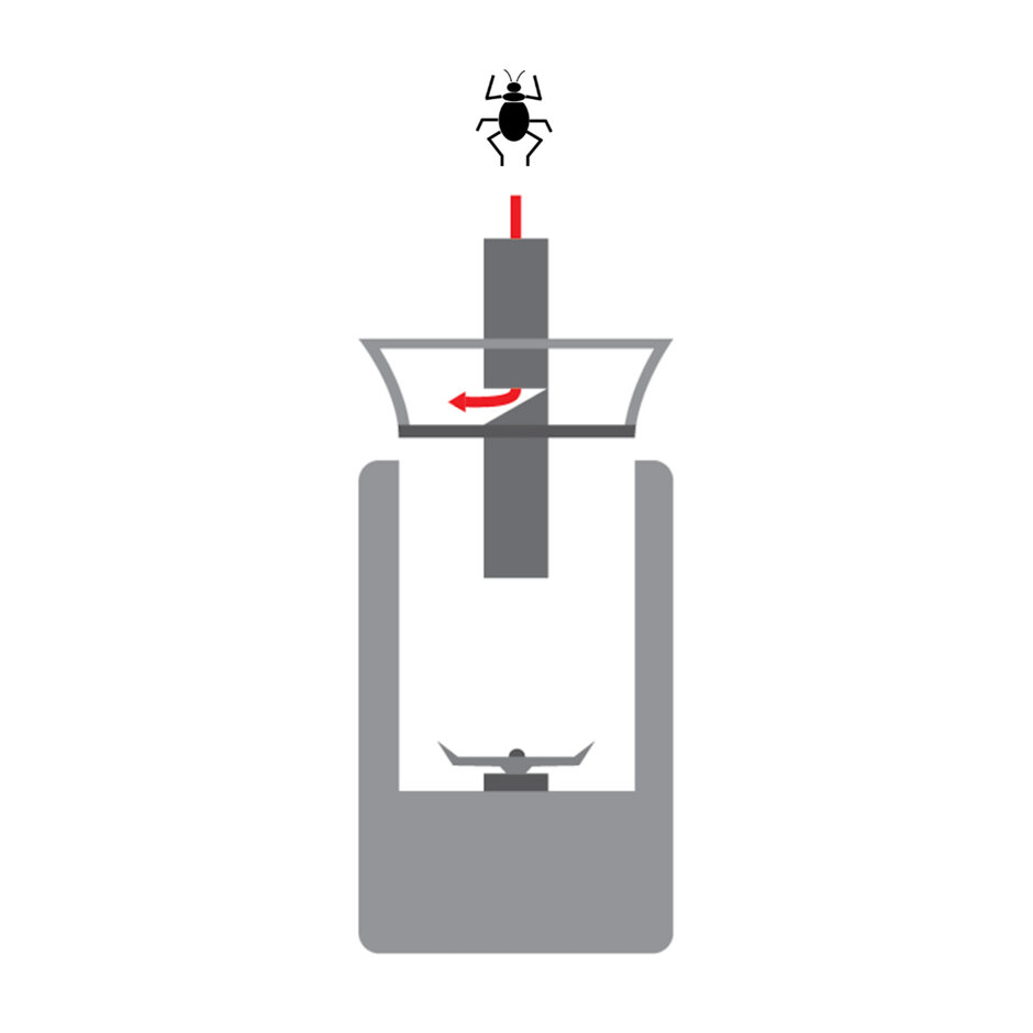 Schematic representation of an experiment: A beetle slides from above through a cylinder into a coffee grinder; however, it does not come into contact with the coffee grinder's cutting tool, but leaves the cylinder unharmed at a safe distance.