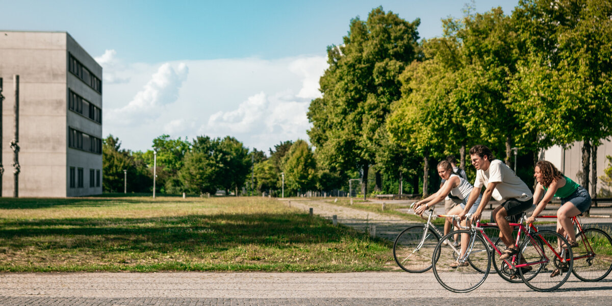 Drei Studierende fahren mit dem Fahrrad über den Campus der Universität Regensburg.