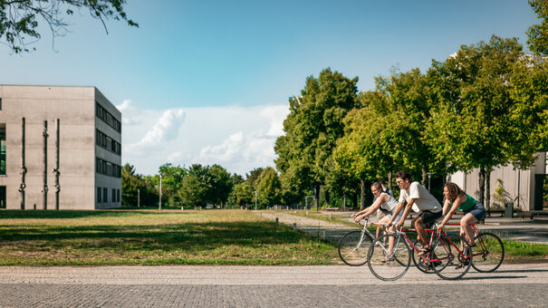 Drei Studierende fahren mit dem Fahrrad über den Campus der Universität Regensburg.
