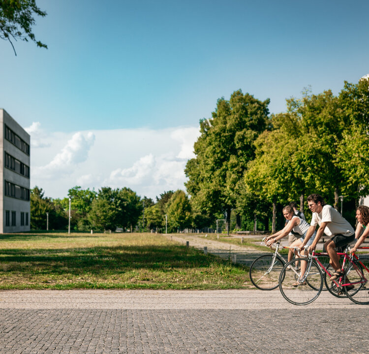 Drei Studierende fahren mit dem Fahrrad über den Campus der Universität Regensburg.
