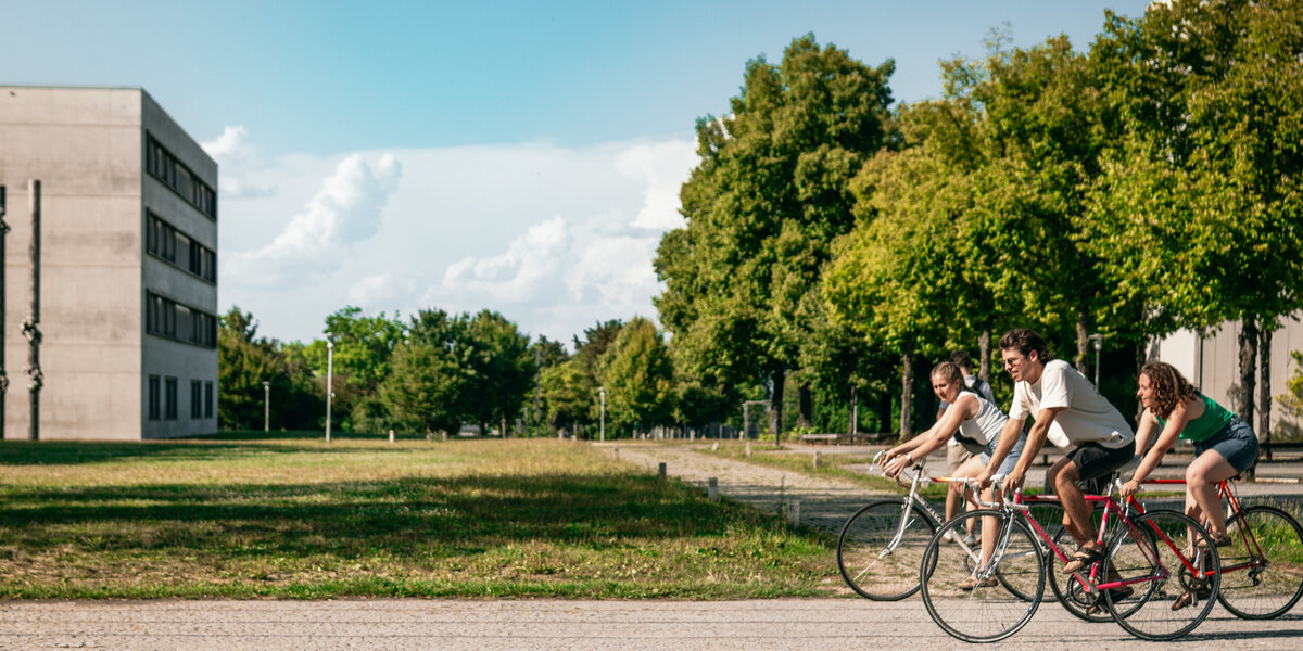 Drei Studierende fahren mit dem Fahrrad über den Campus der Universität Regensburg.