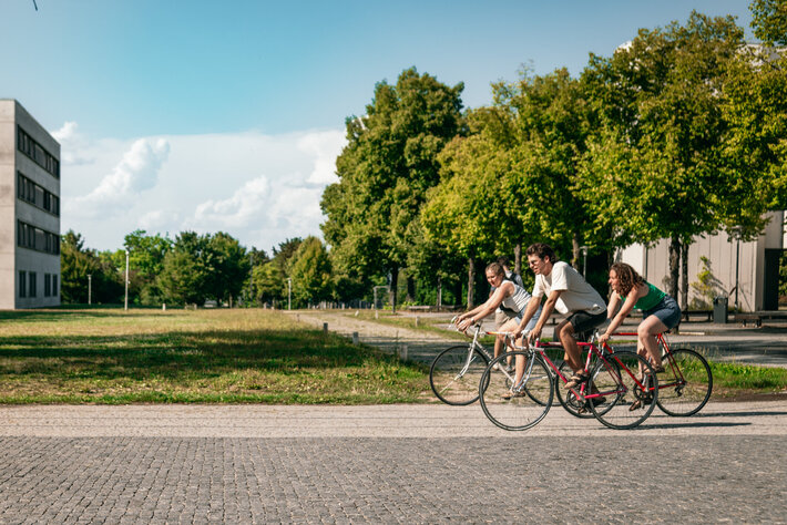 Drei Studierende fahren mit dem Fahrrad über den Campus der Universität Regensburg. (öffnet Vergrößerung des Bildes)