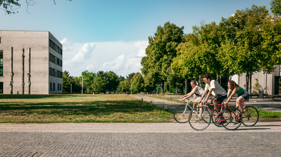 Drei Studierende fahren mit dem Fahrrad über den Campus der Universität Regensburg.