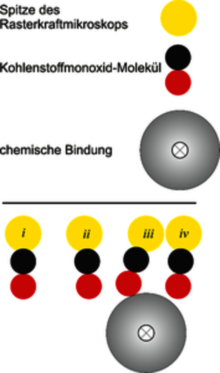 (öffnet Vergrößerung des Bildes)