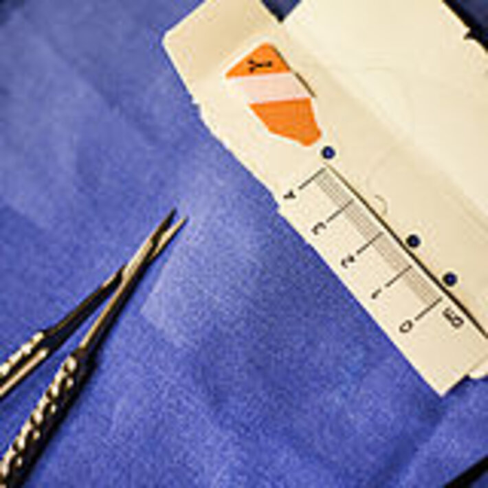 (öffnet Vergrößerung des Bildes)