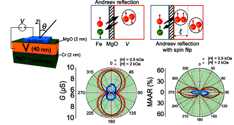 Fe/MgO/V junction with interfacial Rashba spin-orbit coupling inside the MgO barrier: The competition between spin-conserving and spin-flip ("unconventional") Andreev reflections (right, top) leads to marked conductance magnetoanisotropies. (opens enlarged image)
