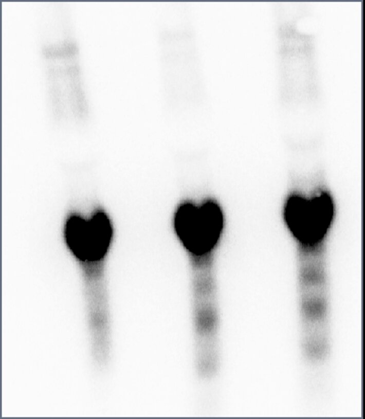 (öffnet Vergrößerung des Bildes)
