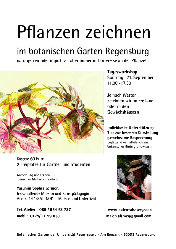 (öffnet Vergrößerung des Bildes)