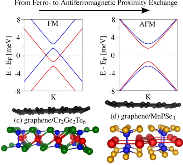 Distinguishing ferro- and antiferromagnetic proximity exchange (opens enlarged image)
