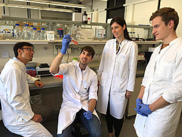 (öffnet Vergrößerung des Bildes)