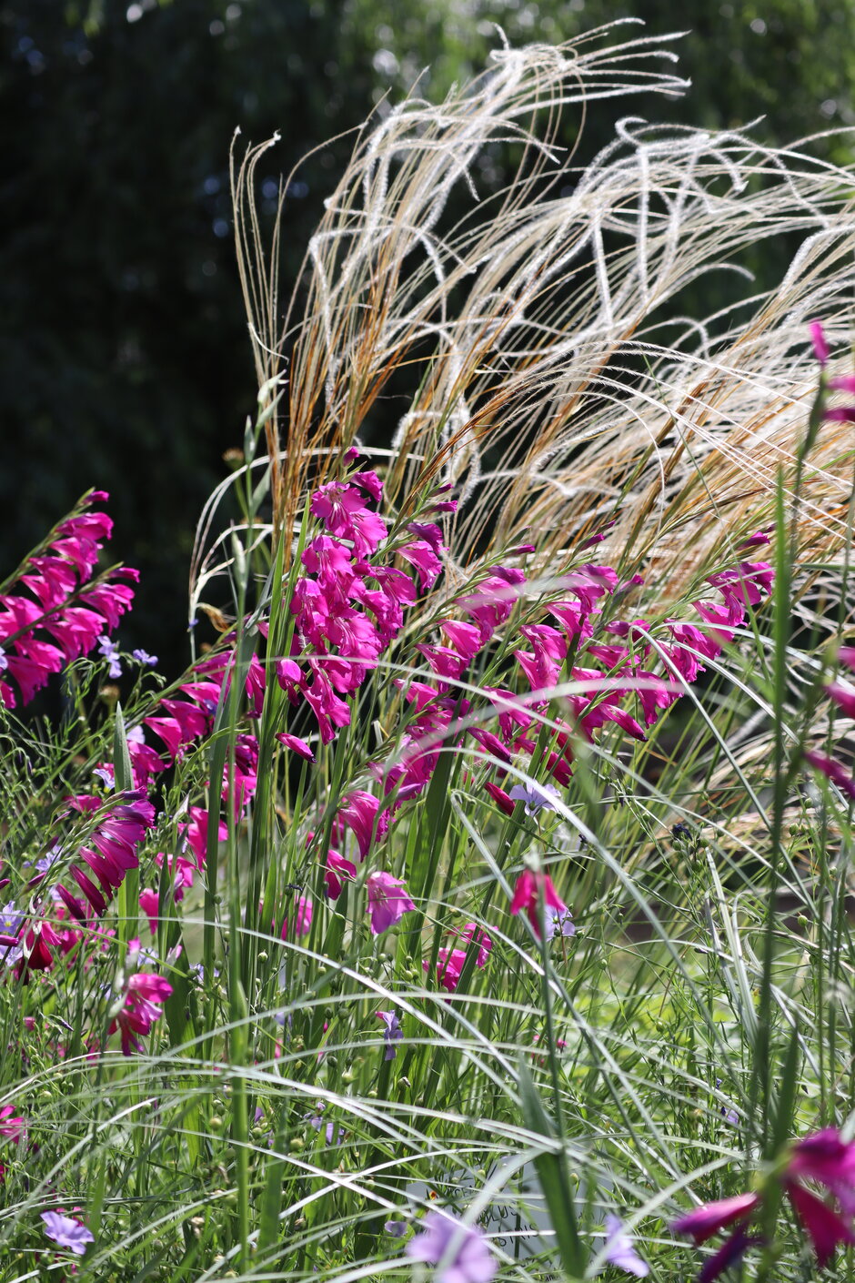 (öffnet Vergrößerung des Bildes)