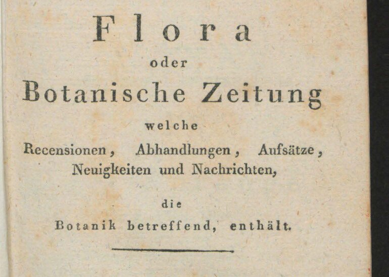 Titelblatt. Flora oder allgemeine botanische Zeitung. 1. Jahrgang (1818)