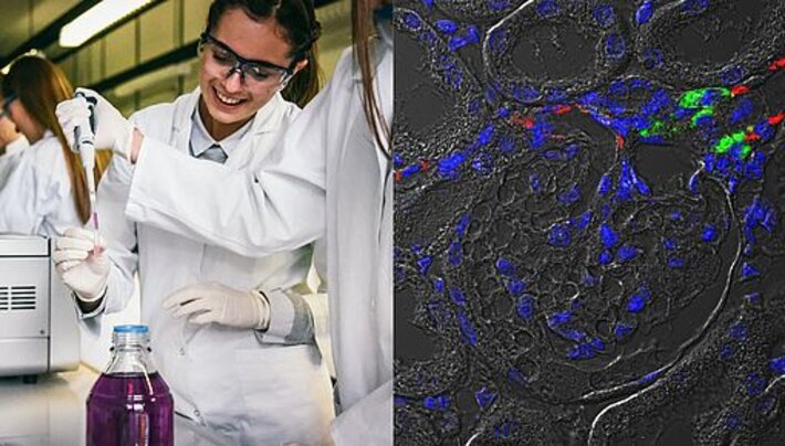 (öffnet Vergrößerung des Bildes)